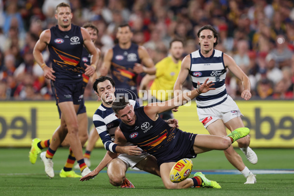 AFL 2025 Round 05 - Adelaide v Geelong - A-58499545