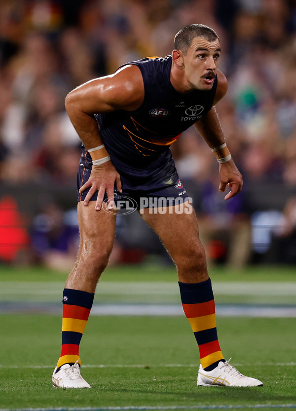 AFL 2025 Round 05 - Adelaide v Geelong - A-58499561