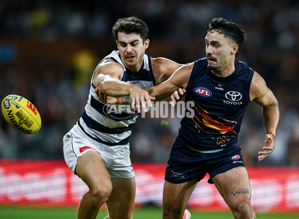 AFL 2025 Round 05 - Adelaide v Geelong - A-58500923