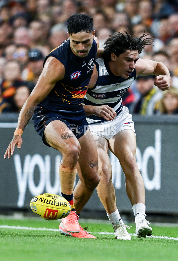 AFL 2025 Round 05 - Adelaide v Geelong - A-58500924