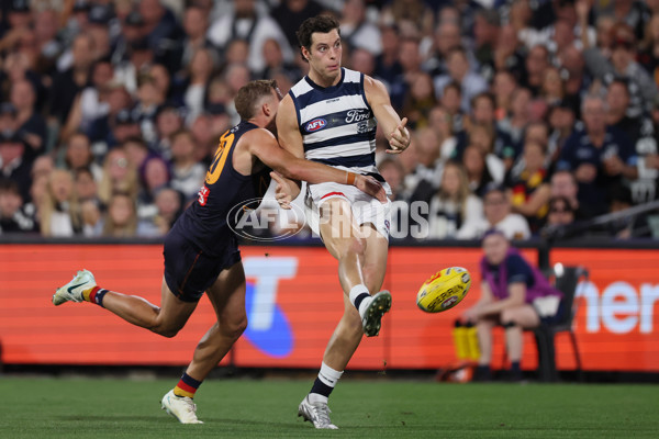 AFL 2025 Round 05 - Adelaide v Geelong - A-58500932