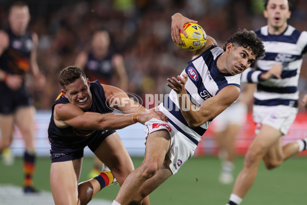 AFL 2025 Round 05 - Adelaide v Geelong - A-58500933