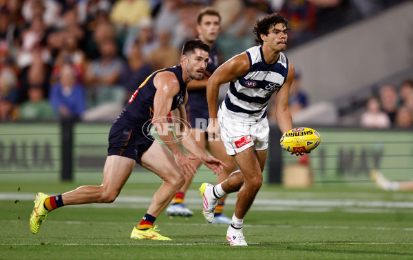 AFL 2025 Round 05 - Adelaide v Geelong - A-58500935