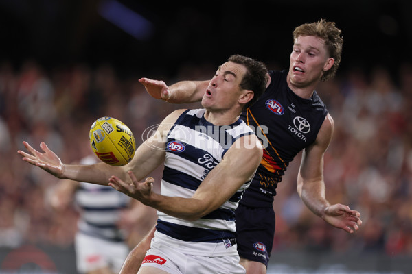 AFL 2025 Round 05 - Adelaide v Geelong - A-58500943