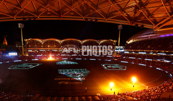AFL 2025 Round 05 - Adelaide v Geelong - A-58500960