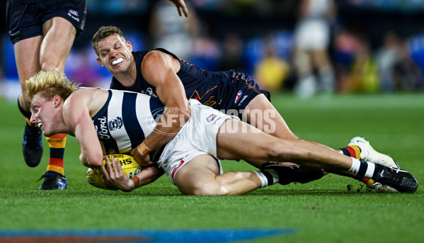 AFL 2025 Round 05 - Adelaide v Geelong - A-58500961