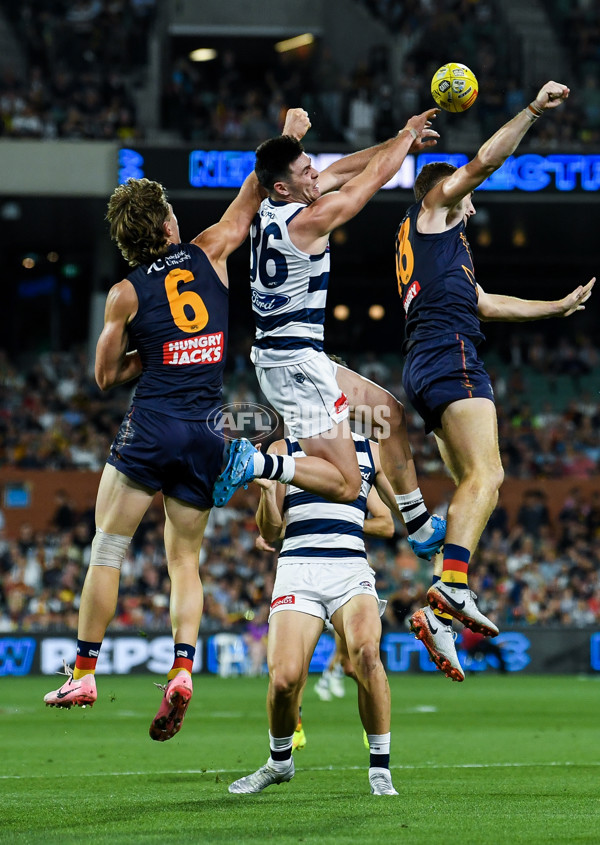 AFL 2025 Round 05 - Adelaide v Geelong - A-58500970