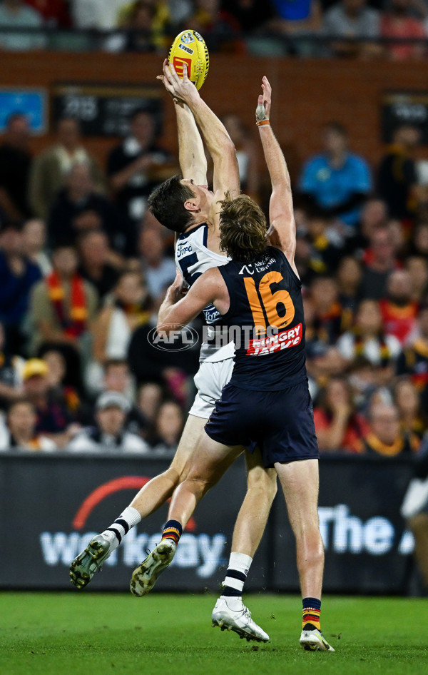 AFL 2025 Round 05 - Adelaide v Geelong - A-58500971