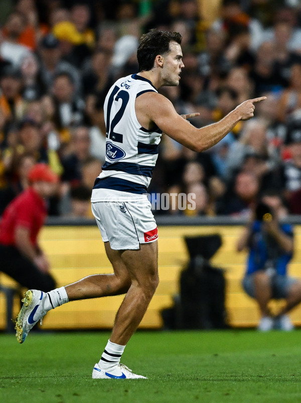 AFL 2025 Round 05 - Adelaide v Geelong - A-58500974