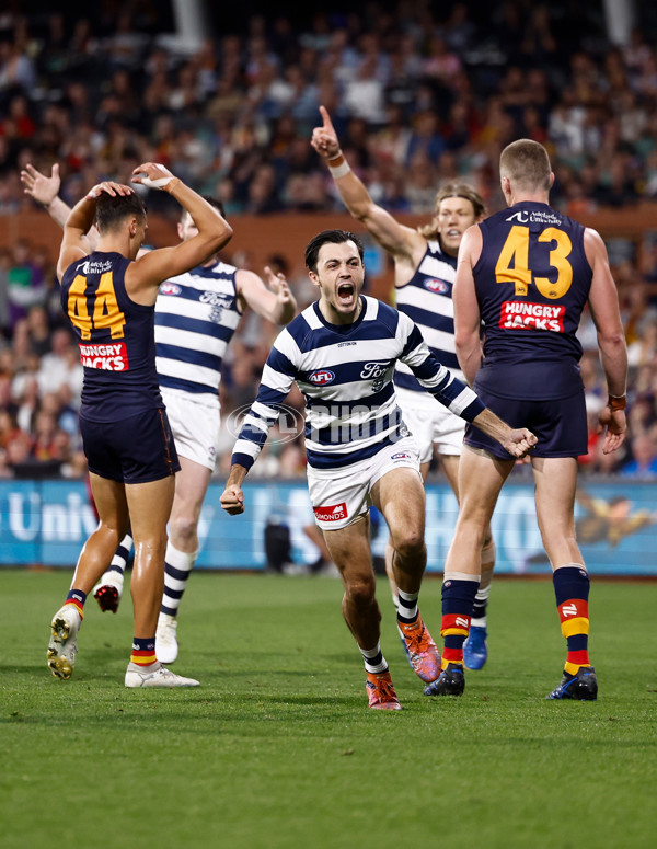 AFL 2025 Round 05 - Adelaide v Geelong - A-58500982