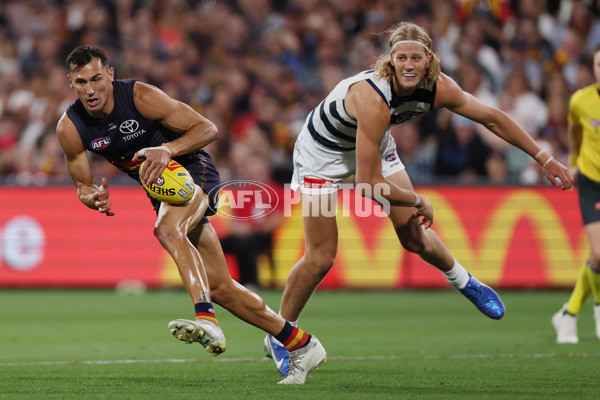 AFL 2025 Round 05 - Adelaide v Geelong - A-58500994