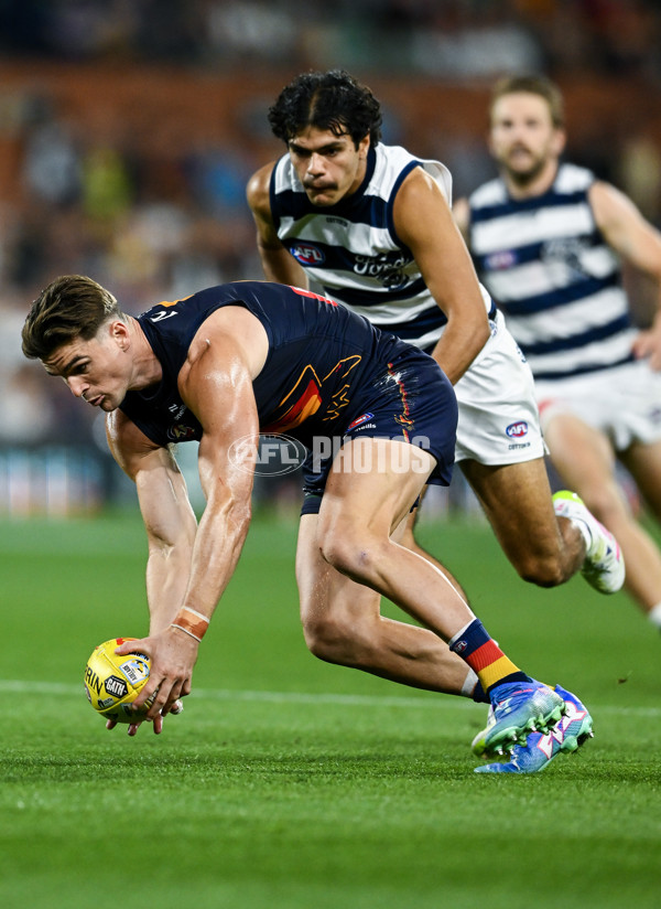 AFL 2025 Round 05 - Adelaide v Geelong - A-58501009