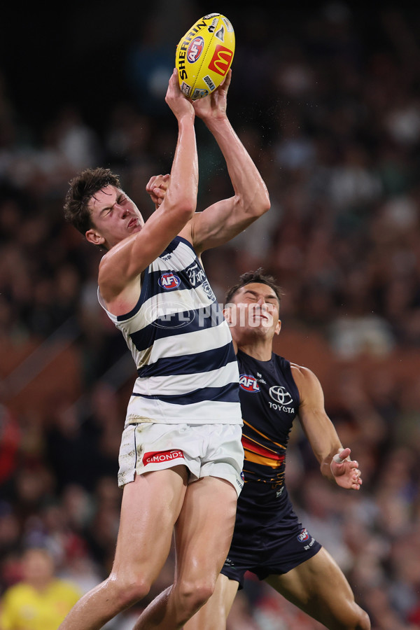 AFL 2025 Round 05 - Adelaide v Geelong - A-58501016