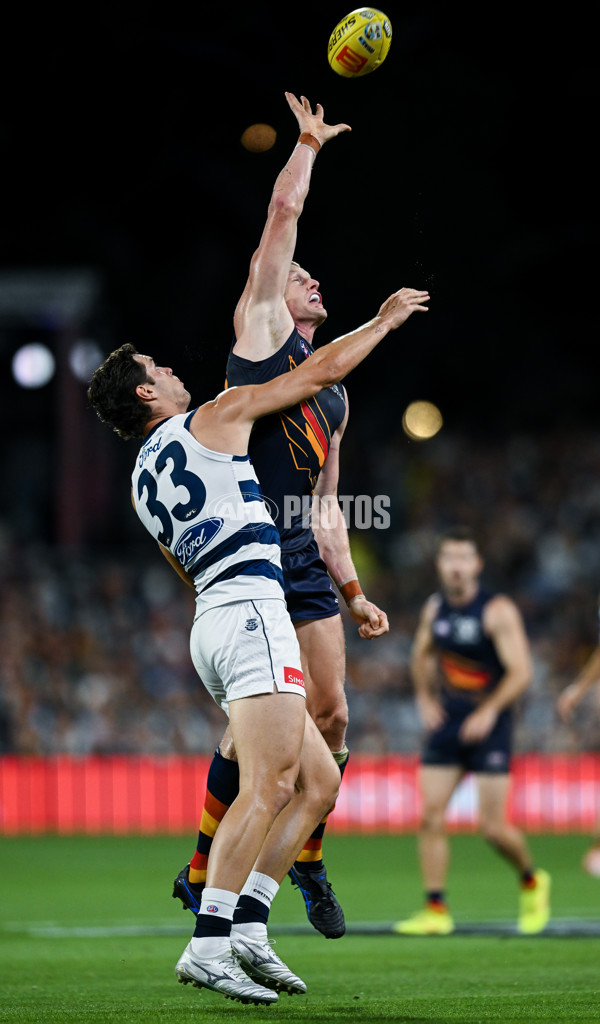 AFL 2025 Round 05 - Adelaide v Geelong - A-58502341