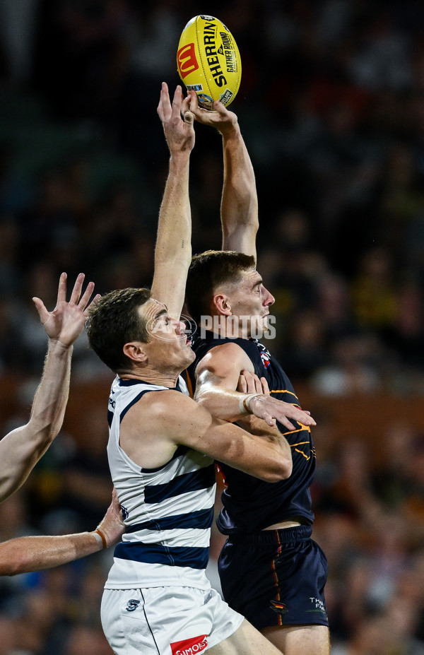 AFL 2025 Round 05 - Adelaide v Geelong - A-58502344