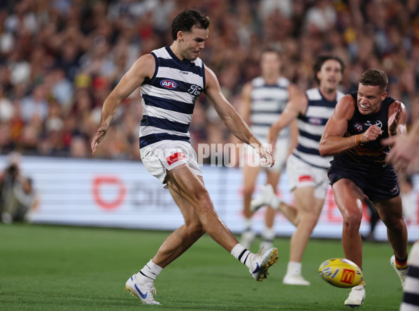 AFL 2025 Round 05 - Adelaide v Geelong - A-58502346