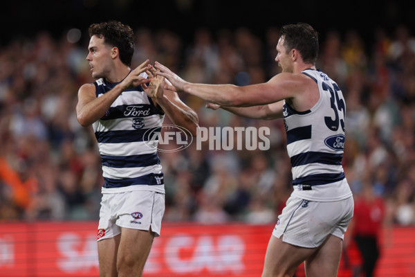 AFL 2025 Round 05 - Adelaide v Geelong - A-58502347
