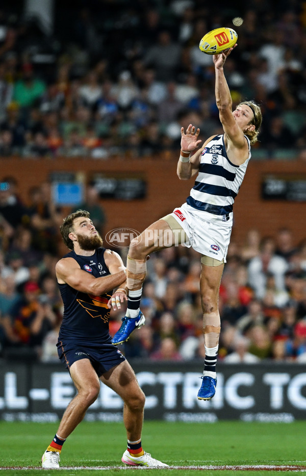 AFL 2025 Round 05 - Adelaide v Geelong - A-58502348