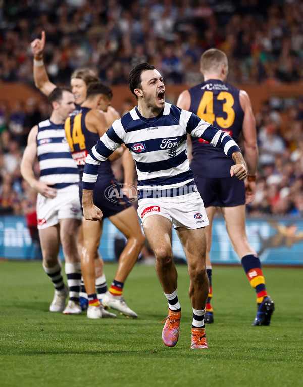AFL 2025 Round 05 - Adelaide v Geelong - A-58502356