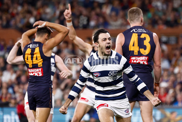 AFL 2025 Round 05 - Adelaide v Geelong - A-58502358