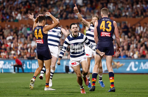 AFL 2025 Round 05 - Adelaide v Geelong - A-58502359