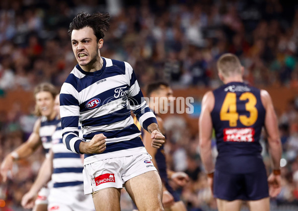 AFL 2025 Round 05 - Adelaide v Geelong - A-58502368