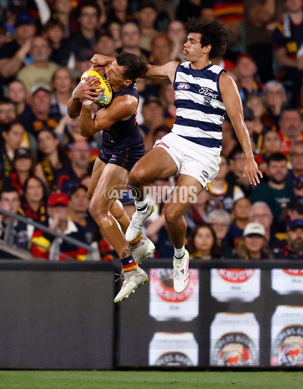AFL 2025 Round 05 - Adelaide v Geelong - A-58502369