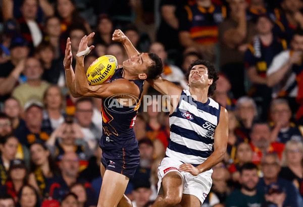 AFL 2025 Round 05 - Adelaide v Geelong - A-58502370