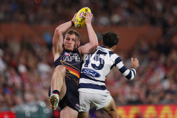 AFL 2025 Round 05 - Adelaide v Geelong - A-58502374