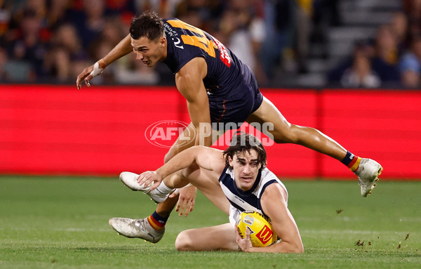 AFL 2025 Round 05 - Adelaide v Geelong - A-58502398