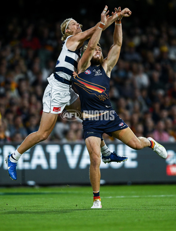 AFL 2025 Round 05 - Adelaide v Geelong - A-58502405