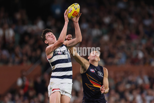 AFL 2025 Round 05 - Adelaide v Geelong - A-58502410