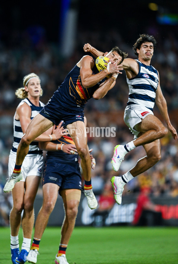 AFL 2025 Round 05 - Adelaide v Geelong - A-58502414