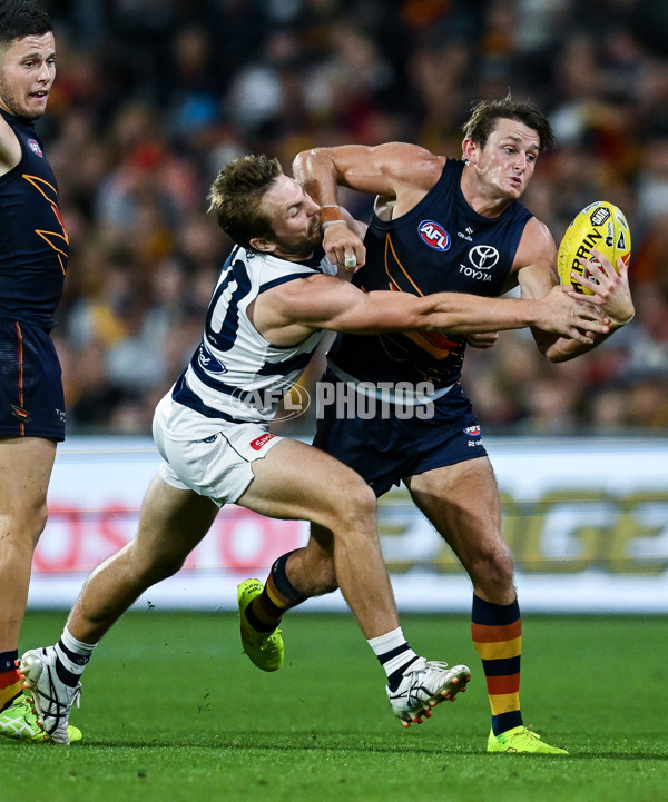 AFL 2025 Round 05 - Adelaide v Geelong - A-58502425