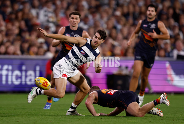AFL 2025 Round 05 - Adelaide v Geelong - A-58503963