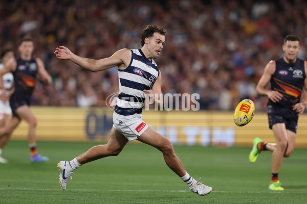 AFL 2025 Round 05 - Adelaide v Geelong - A-58503978