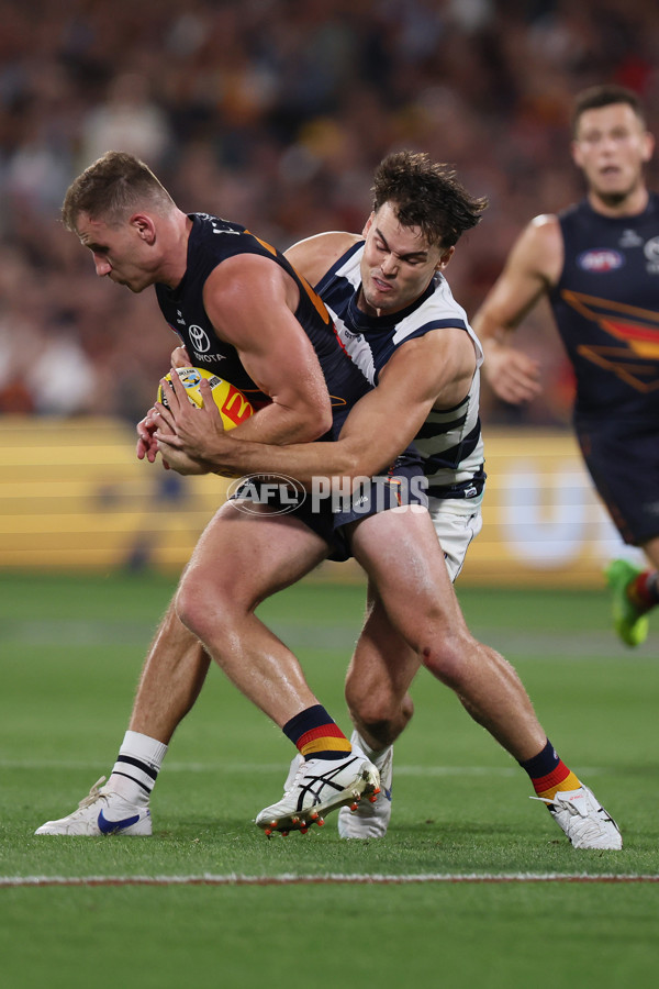 AFL 2025 Round 05 - Adelaide v Geelong - A-58503979