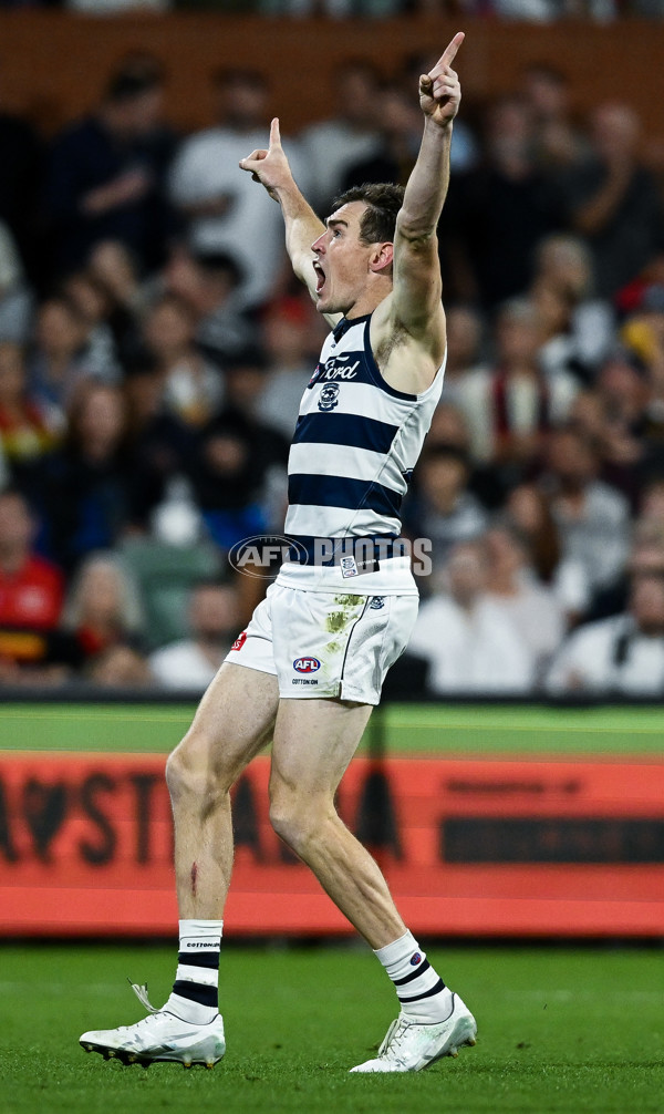 AFL 2025 Round 05 - Adelaide v Geelong - A-58503989