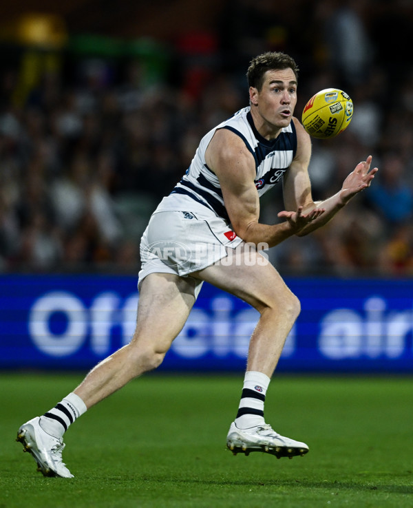 AFL 2025 Round 05 - Adelaide v Geelong - A-58504003