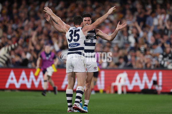 AFL 2025 Round 05 - Adelaide v Geelong - A-58504027