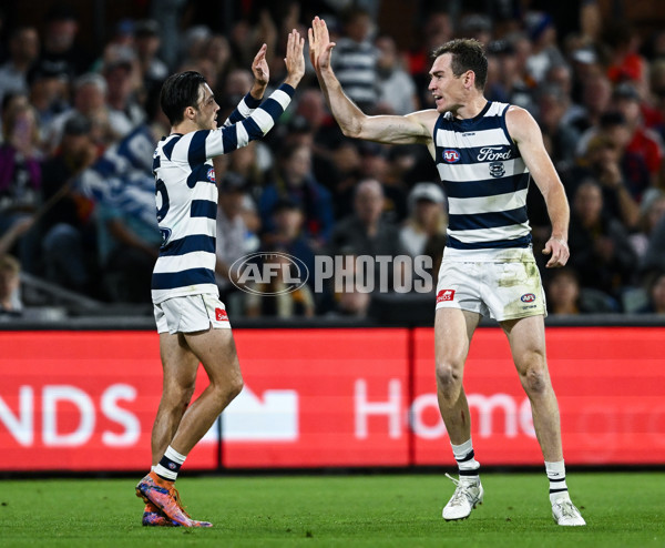 AFL 2025 Round 05 - Adelaide v Geelong - A-58504036