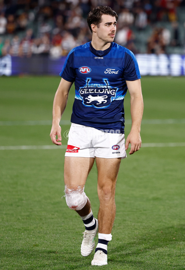 AFL 2025 Round 05 - Adelaide v Geelong - A-58504047
