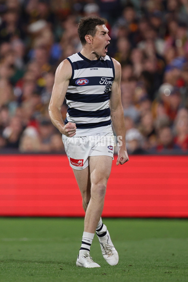 AFL 2025 Round 05 - Adelaide v Geelong - A-58504470