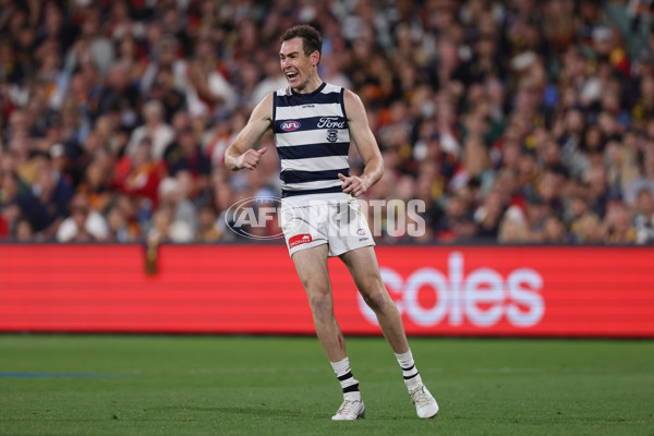 AFL 2025 Round 05 - Adelaide v Geelong - A-58504471