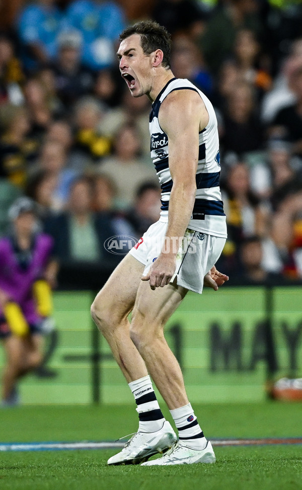 AFL 2025 Round 05 - Adelaide v Geelong - A-58504478
