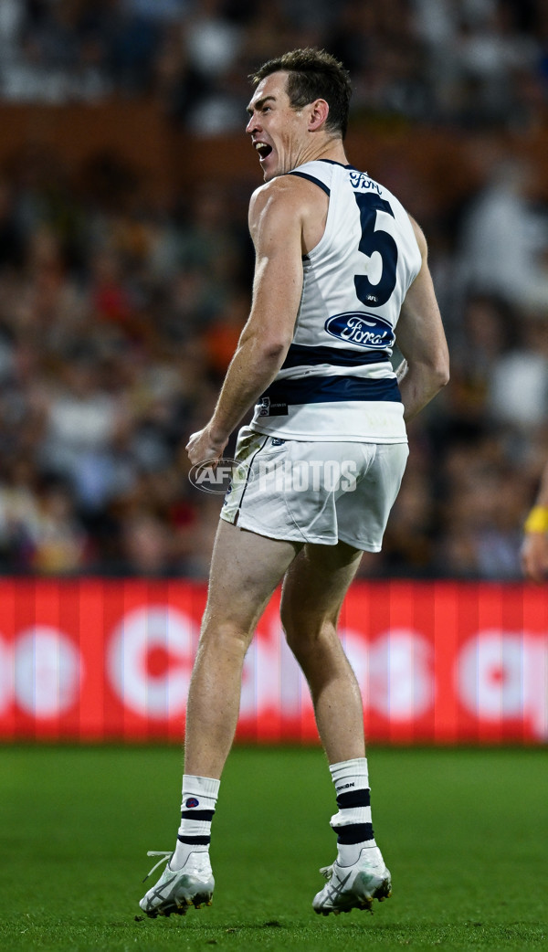 AFL 2025 Round 05 - Adelaide v Geelong - A-58504483