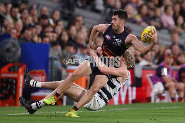 AFL 2025 Round 05 - Adelaide v Geelong - A-58504486
