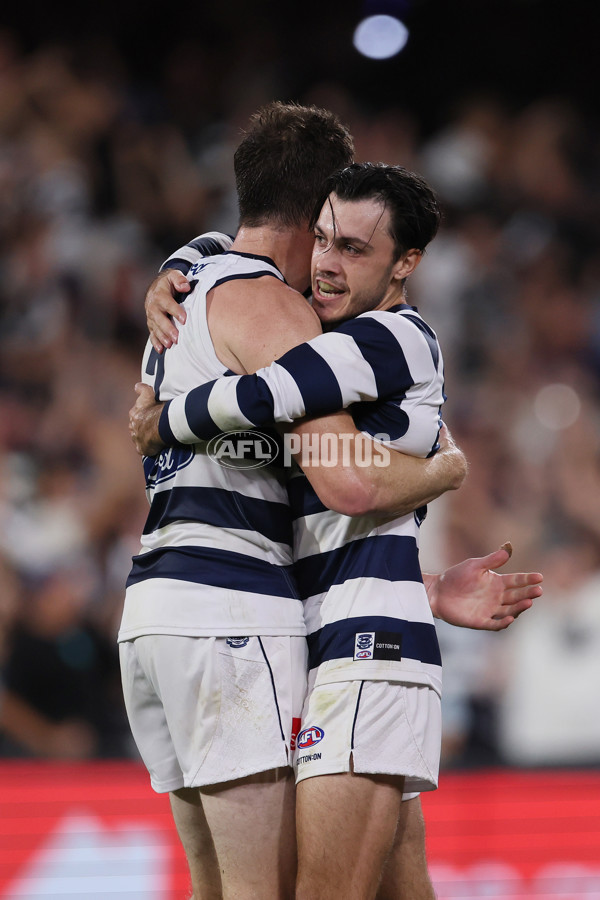 AFL 2025 Round 05 - Adelaide v Geelong - A-58504496