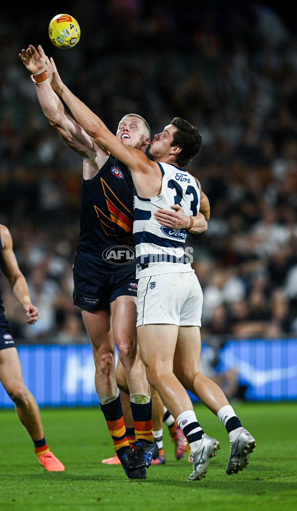 AFL 2025 Round 05 - Adelaide v Geelong - A-58504532