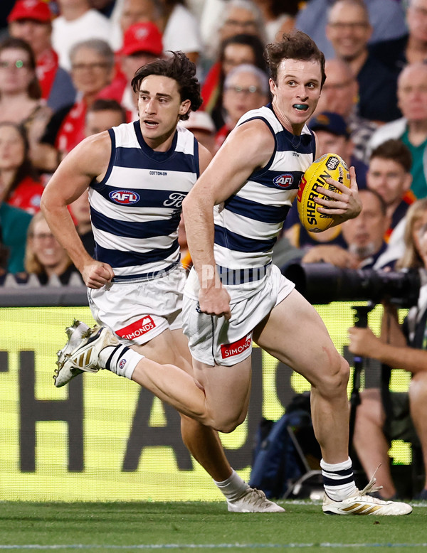 AFL 2025 Round 05 - Adelaide v Geelong - A-58506814